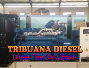 Jual Diesel Lampung Barat Bergaransi